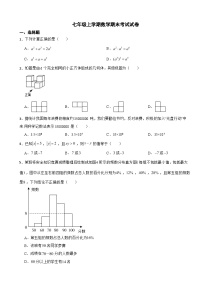 四川省成都市锦江区2024学年七年级上学期数学期末考试试卷【附答案】