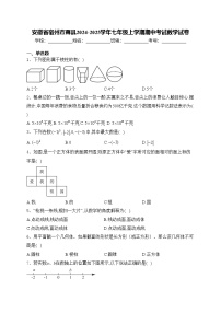 安徽省宿州市萧县2024-2025学年七年级上学期期中考试数学试卷(含答案)