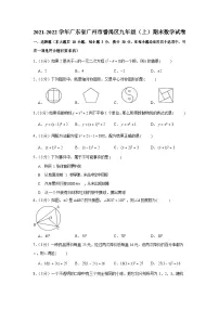 2021-2022学年广东省广州市番禺区九年级（上）期末数学试卷（含答案）