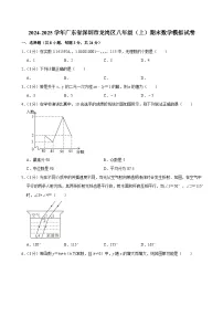 2024-2025学年广东省深圳市龙岗区八年级（上）期末数学模拟试卷