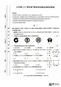 浙江省名校发展共同体2024年九年级上学期12月月考数学试卷