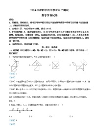 2024年广东省深圳市中考数学试题（解析版）