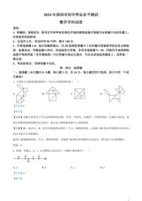 2024年广东省深圳市中考数学试题（解析版）