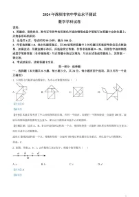 2024年广东省深圳市中考数学试题（解析版）