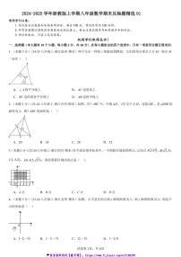 2024～2025学年浙教版八年级(上)数学期末压轴题精选试卷(原卷版+解析版)