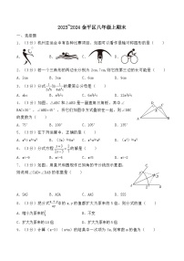 2023~2024汕头市金平区八年级上数学期末试卷
