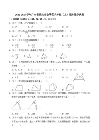 2022-2023学年广东省汕头市金平区八年级（上）期末数学试卷