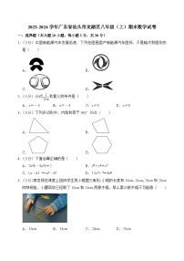 2023-2024学年广东省汕头市龙湖区八年级（上）期末数学试卷