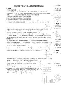 四川省眉山市东坡区实验初级中学2024-2025学年九年级上学期数学期末模拟测试-A4