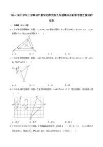 2024-2025学年上学期初中数学北师大版九年级期末必刷常考题之图形的位似练习