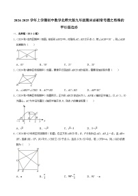 2024-2025学年上学期初中数学北师大版九年级期末必刷常考题之特殊的平行四边形练习