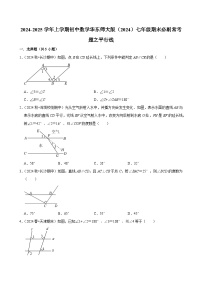 2024-2025学年上学期初中数学华东师大版（2024）七年级期末必刷常考题之平行线练习