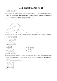 （安徽专用）中考数学三轮冲刺中考考前压轴必刷60题（2份，原卷版+解析版）