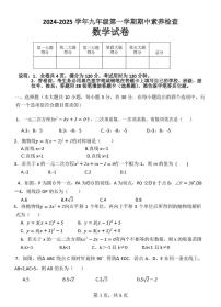 广东省湛江市赤坎区金沙湾学校2024-2025学年九年级上学期期中素养检查数学试题