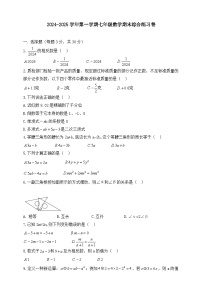 人教版2024-2025学年第一学期七年级数学期末综合练习卷（含答案）