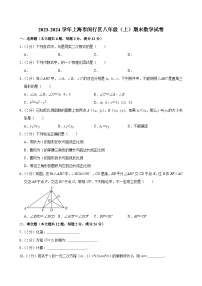 2023-2024学年上海市闵行区八年级(上)期末数学试卷
