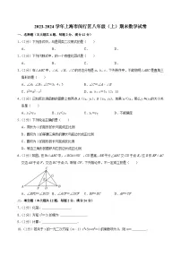 2023-2024学年上海市闵行区八年级(上)期末数学试卷