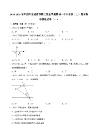 2024-2025学年四川省成都市锦江区金苹果锦城一中八年级（上）期末数学模拟试卷（一）