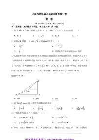 上海市九年级上册期末重点提分数学卷试卷(原卷版解析版)