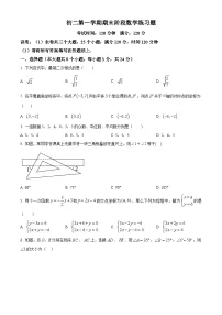 陕西西安市西咸新区秦汉中学2022-2023学年八年级上学期期末数学试题（原卷版）