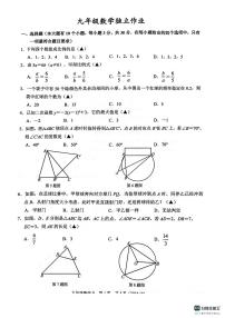 浙江杭州临平区2024年九年级上学期12月月考数学试卷+答案