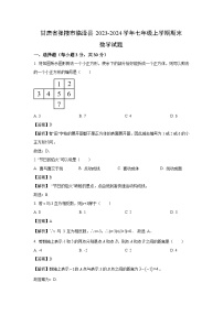 甘肃省张掖市临泽县2023-2024学年七年级（上）期末数学试卷（解析版）