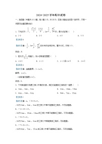 湖南省郴州市桂阳县2024-2025学年八年级（上）期中数学试卷（解析版）