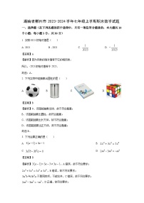 湖南省郴州市2023-2024学年七年级（上）期末数学试卷（解析版）