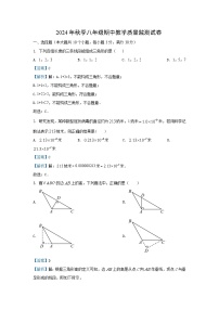 湖南省张家界市永定区2024-2025学年八年级（上）期中数学试卷（解析版）