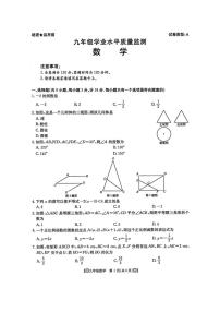 陕西省西安市西安理工大学附属中学2024-2025学年九年级上学期期末数学试题