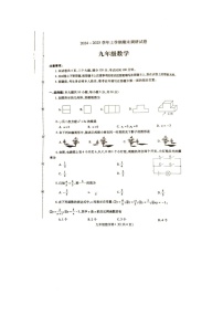 河南省平顶山市鲁山县2024-2025学年九年级上学期期末考试数学试卷