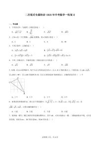 二次根式专题特训-2025年九年级中考数学一轮复习
