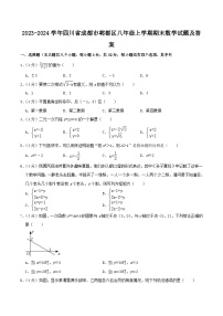 2023-2024学年四川省成都市郫都区八年级上学期期末数学试题及答案