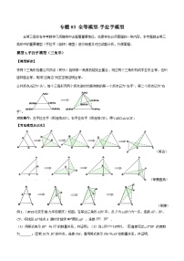 人教版数学八年级上册期中复习 专题03 全等模型-手拉手模型（2份，原卷版+解析版）