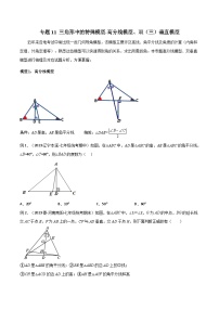 人教版数学八年级上册期中复习 专题11 三角形中的特殊模型-高分线模型、双（三）垂直模型（2份，原卷版+解析版）