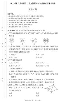 湖南省长沙市湖南师大附中教育集团联考2024-2025学年九年级上学期期末数学试题