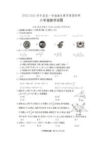 安徽省巢湖市2023-2024学年八年级数学上学期期末试卷