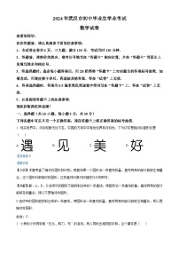 2024年湖北省武汉市中考数学试题（解析版）