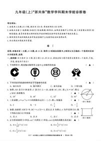 浙江省名校发展共同体2024-2025学年九年级上学期12月期末学能诊断数学试卷（人教版）