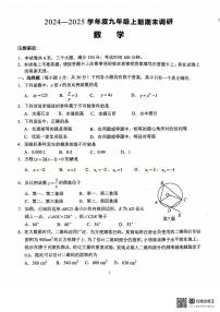 河南省周口市西华县2024-2025学年九年级上学期1月期末数学试题