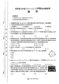 河南省新乡市延津县2024-2025学年九年级上学期期末数学试卷
