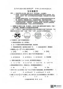 广东省江门市2024-2025学年九年级上学期期末数学试题