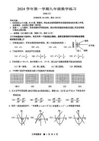 2025年上海市奉贤区九年级中考一模数学试卷