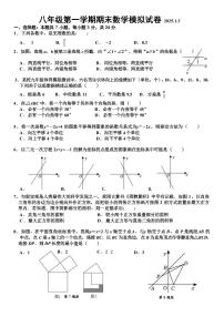 广东深圳2024-2025学年上学期期末模拟八年级数学试卷+答案