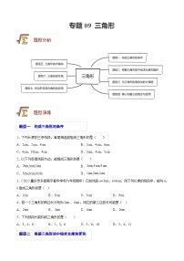 中考数学一轮复习题型归纳精练专题09 三角形（2份，原卷版+解析版）