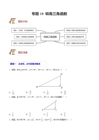 中考数学一轮复习题型归纳精练专题18 锐角三角函数（2份，原卷版+解析版）