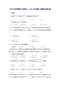 2025年中考数学二轮复习：二元一次方程组 专题练习题汇编（含答案解析）