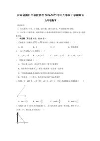 2024-2025学年南阳市名校联考九上12月期末数学试卷及答案