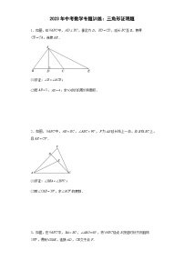 中考数学专题训练：三角形证明题