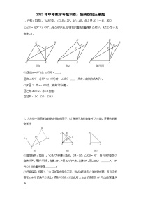 中考数学专题训练：旋转综合压轴题